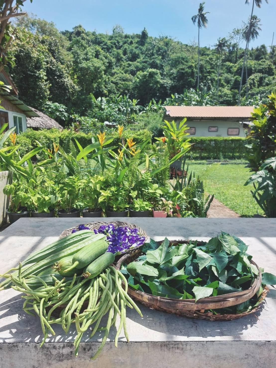 Samui Camping Farm Laem Sor Luaran gambar